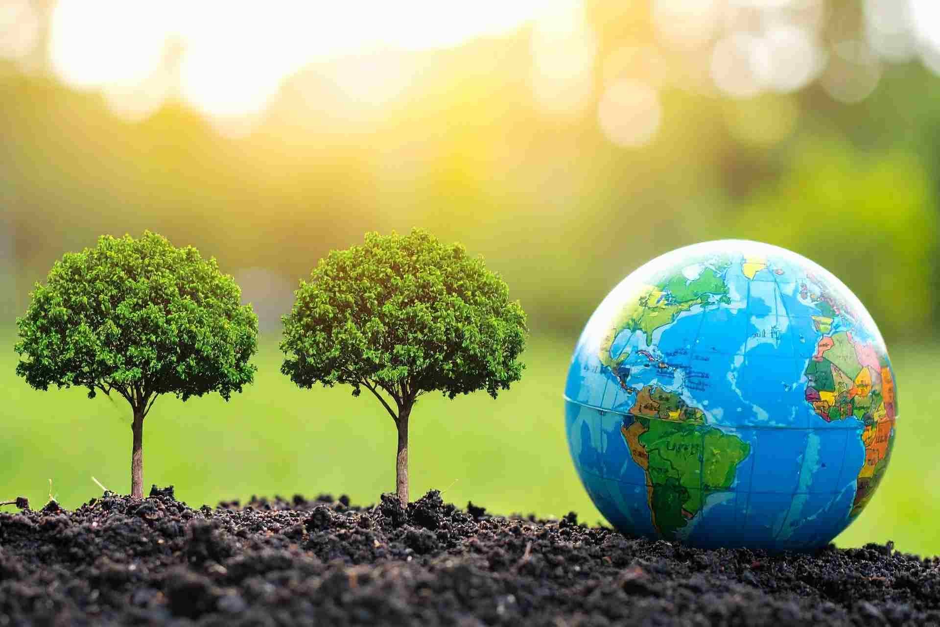 Como Oficinas Podem se Preparar para Regulamentos Ambientais mais Rígidos (EURO V e VI)